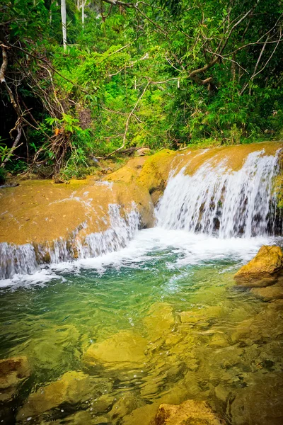 Waterfall on a small river flowing in the jungle — Stock Photo, Image