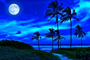 Romantic tropical beach at night with a full moon clipart