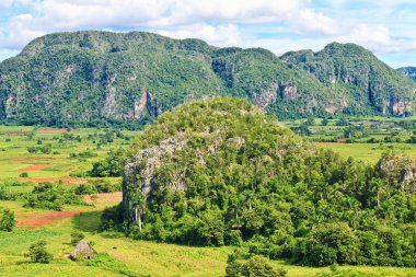 Küba'da, ünlü turistik hedef vinales Vadisi