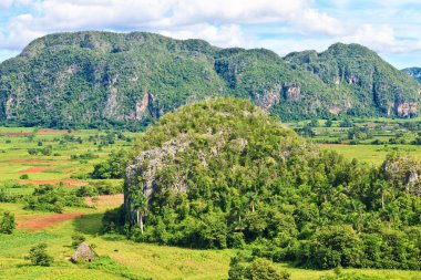 The Valley of Vinales in Cuba, a famous touristic destination clipart