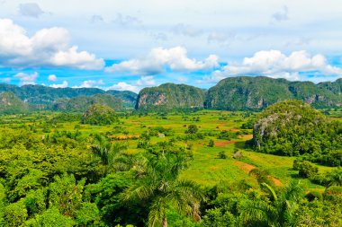 Küba'da, ünlü turistik hedef vinales Vadisi