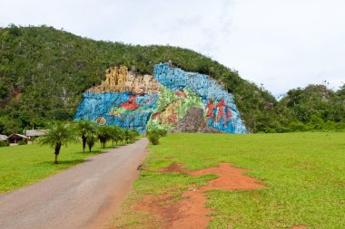 vinales Küba'nın ünlü Vadisi