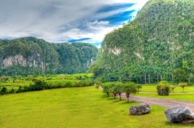 The famous Valley of Vinales in Cuba clipart