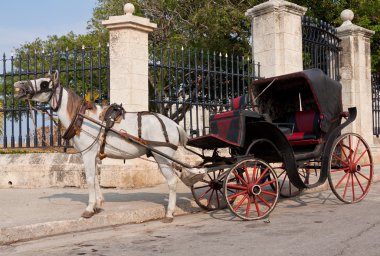 Eski Havana'da turist bekleyen at arabası