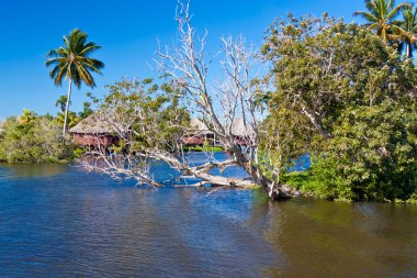 Thatched houses in the cuban villa of Guama clipart