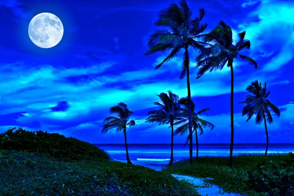 Romantiska tropisk strand på natten med en fullmåne — Stockfoto