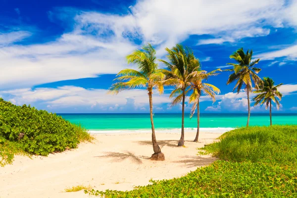Der weltberühmte strand von varadero in kuba — Stockfoto