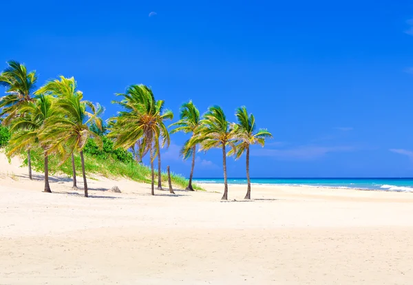 The worlwide famous beach of Varadero in Cuba — Stock Photo, Image