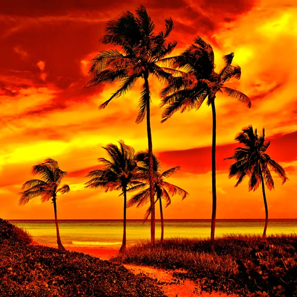 Pôr do sol colorido em uma bela praia tropical — Fotografia de Stock
