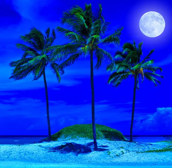 Schöner Strand bei Nacht mit hellem Vollmond — Stockfoto
