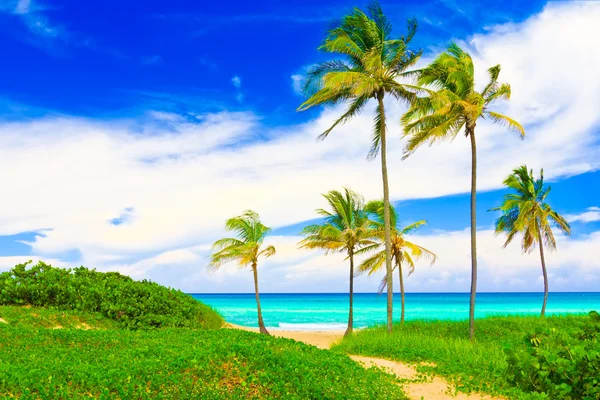 Pięknej plaży varadero na Kubie — Zdjęcie stockowe