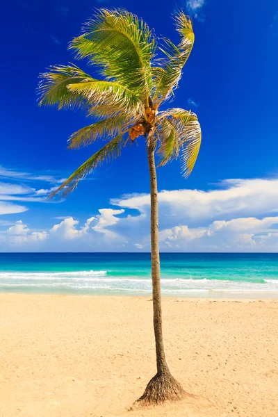 Pięknej plaży varadero na Kubie — Zdjęcie stockowe