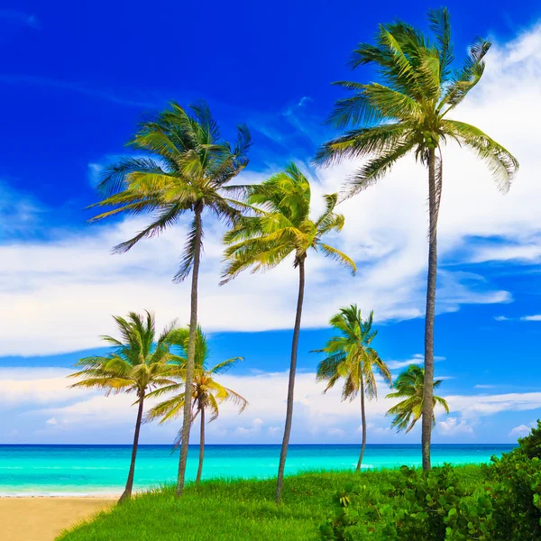 A bela praia de Varadero em Cuba — Fotografia de Stock