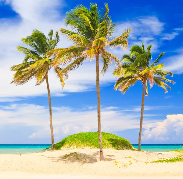 Всемирно известный пляж Варадеро на Кубе — стоковое фото