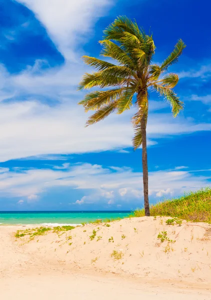 全球著名的古巴的巴拉德罗的海滩 — 图库照片