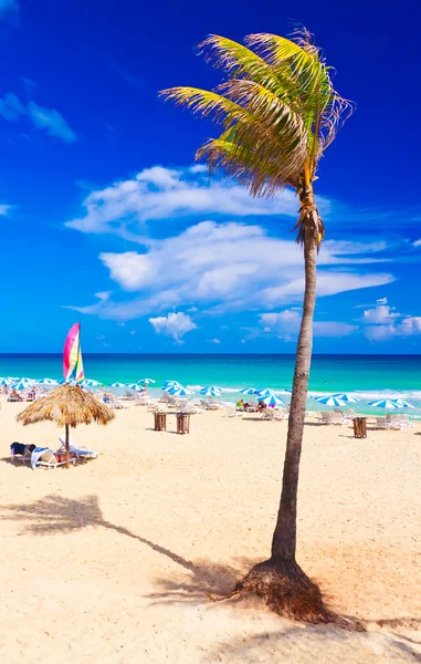 Worlwide berömda stranden i varadero på Kuba — Stockfoto