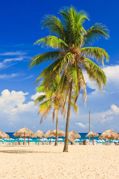 Der weltberühmte strand von varadero in kuba — Stockfoto
