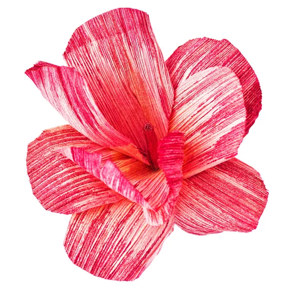 Beyaz bir arka plan üzerinde izole kağıt çiçek — Stok fotoğraf