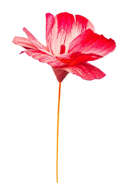 Papierblume isoliert auf weißem Hintergrund — Stockfoto