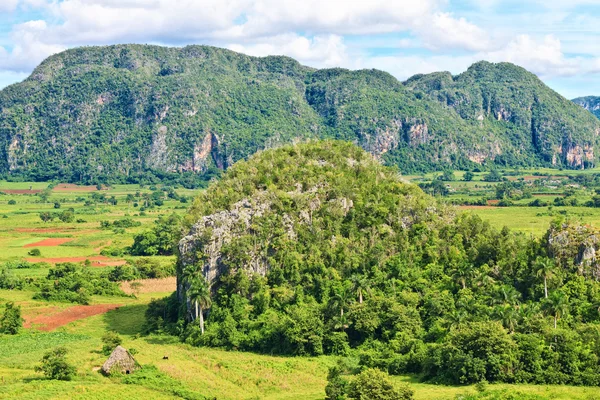 De vallei van Viñales in cuba, een bekende toeristische bestemming — Stockfoto