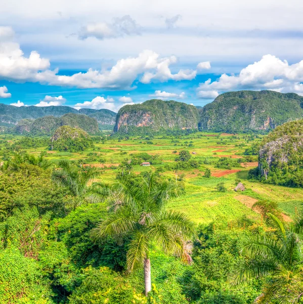 The Valley of Vinales in Cuba, a famous touristic destination — Stock Photo, Image