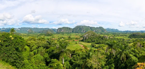 The Valley of Vinales in Cuba, a famous touristic destination — Stock Photo, Image
