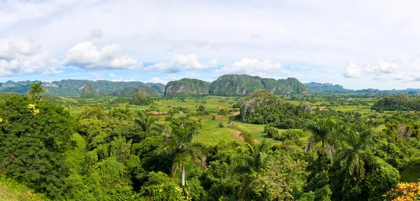 El Valle de Vinales en Cuba, un famoso destino turístico — Foto de Stock