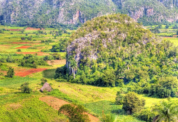 Údolí vinales na Kubě, známé turistické destinace — Stock fotografie