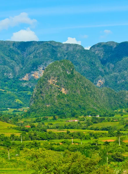 El Valle de Vinales en Cuba, un famoso destino turístico — Foto de Stock
