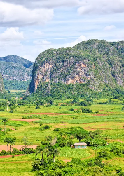 The famous Valley of Vinales in Cuba — Stock Photo, Image