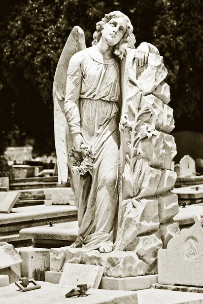 Винтажное изображение прекрасного ангела на кладбище — стоковое фото