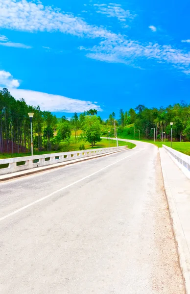 Liduprázdné silnici na krásné letní den — Stock fotografie