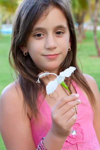 Schattig Latijns-meisje met een witte hibiscus bloem — Stockfoto