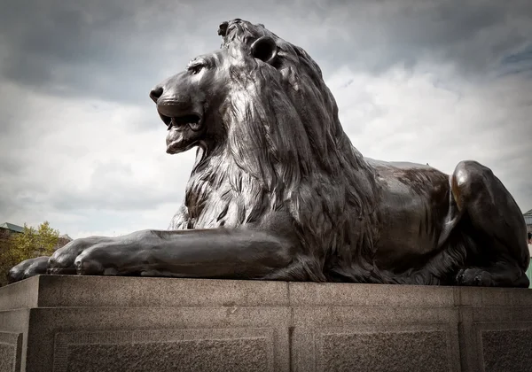 Famous lion sculpture in Trafalgar Square, London — Stock Photo, Image