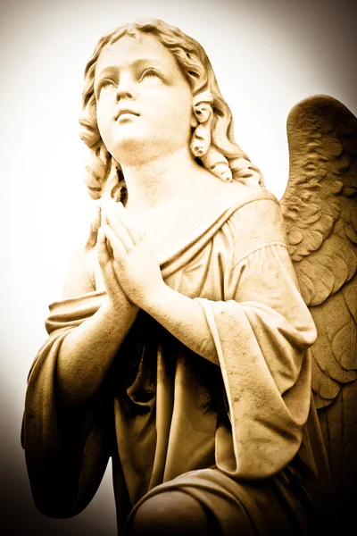 Молящийся ангел — стоковое фото