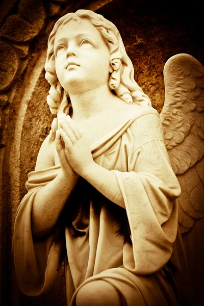 Modlit anděl — Stock fotografie