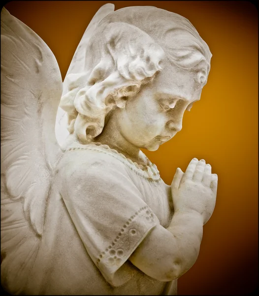 Молящийся ангел — стоковое фото