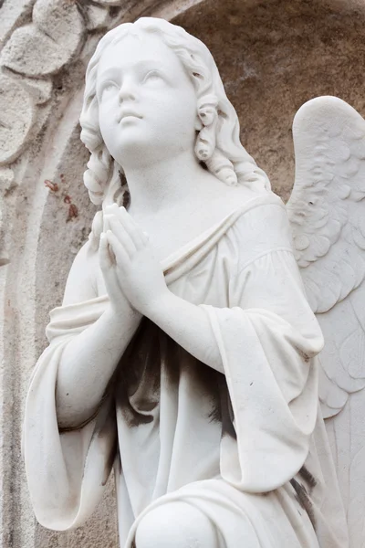 Dua eden melek — Stok fotoğraf