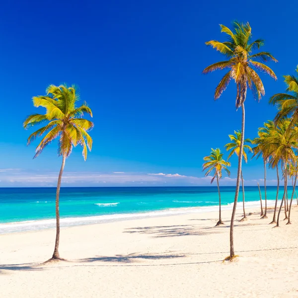 Piękne kubańskie plaży varadero — Zdjęcie stockowe