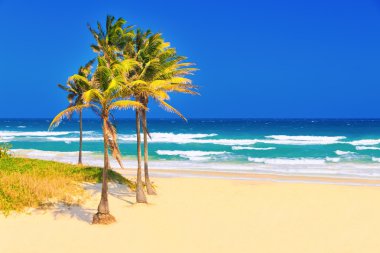 The beach in Cuba on a beautiful summer day clipart