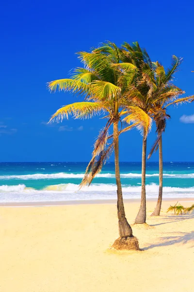 La plage de Cuba par une belle journée d'été — Photo