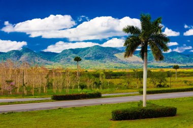 Road near the mountains of Pinar del Rio in Cuba clipart