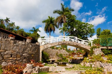 The orchids garden in Soroa, Cuba clipart