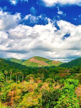 Mountains and tropical valleys in Cuba clipart