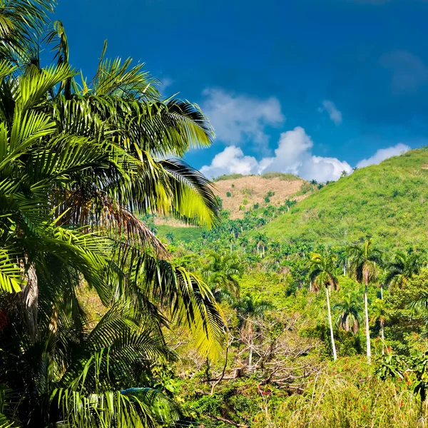 Горы провинции Пинар дель Рио на Кубе — стоковое фото