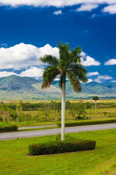 Den kubanska landsbygden — Stockfoto