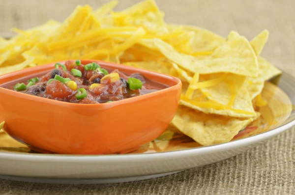 Salsa és tortilla chips-szel Stock Kép