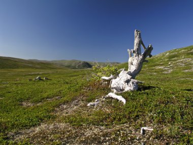 Doğa manzarası