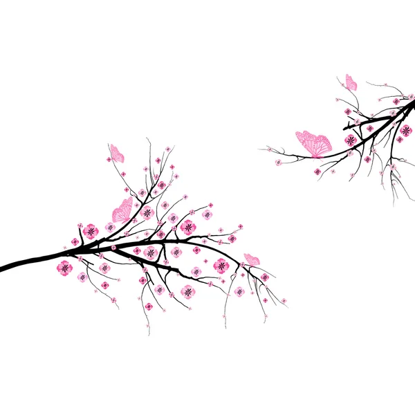 樱桃开花 — 图库矢量图片