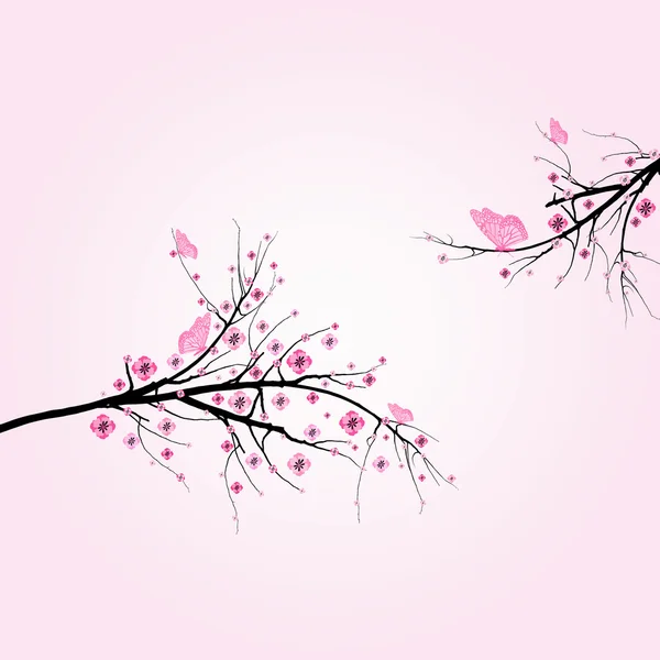 樱桃开花 — 图库矢量图片